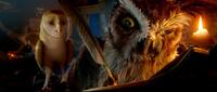 Jim Sturgess voices Soren and Geoffrey Rush voices Ezylryb in "Legend of the Guardians: The Owls of Ga'Hoole."