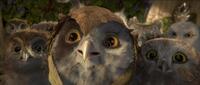 A scene from "Legend of the Guardians: The Owls of Ga'Hoole."