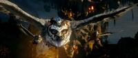 Sam Neill voices Allomere in "Legend of the Guardians: The Owls of Ga'Hoole."
