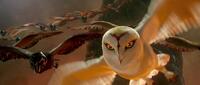 Helen Mirren voices Nyra in "Legend of the Guardians: The Owls of Ga'Hoole."