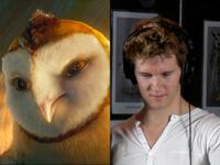 Ryan Kwanten as Kludd in "Legend of the Guardians: The Owls of Ga'Hoole."