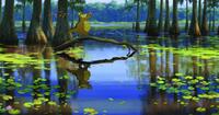 A scene from "The Princess and the Frog."