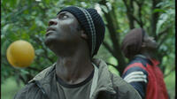 Check out the movie photos of 'Mediterranea'