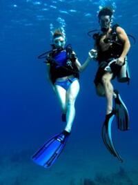 A scene from "Cayman Went."