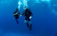 A scene from "Cayman Went."
