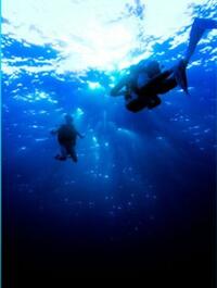 A scene from "Cayman Went."