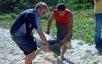 A scene from "Cayman Went."