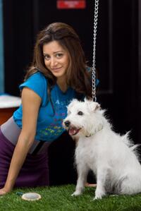 Noureen DeWulf in "The Back-Up Plan."