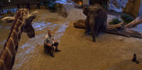 Kevin James in "The Zookeeper."