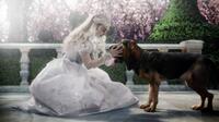 A scene from "Alice in Wonderland: An IMAX 3D Experience."