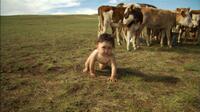 Bayarjargal, who lives in Mongolia with his family in "Babies."