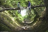 Asa Butterfield as Norman and Eros Vlahos as Cyril, (Bottom) Oscar Steer as Vincent in "Nanny McPhee Returns."