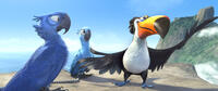 Blu voiced by Jesse Eisenberg, Jewel voiced by Anne Hathaway and Raphael voiced by George Lopez in "Rio The Movie."