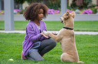Quvenzhane Wallis as Annie in "Annie."