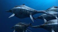 A scene from "Sea Rex: Journey to a Prehistoric World."