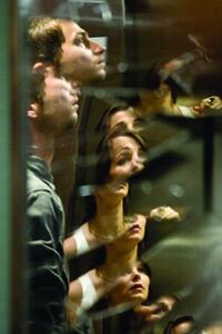 Logan Marshall-Green and Bojana Novakovic in "Devil."