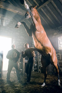 A scene from "War Horse."