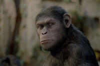 A scene from "Rise of the Planet of the Apes."