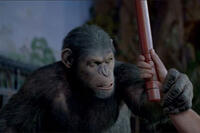 A defiant Caesar in "Rise of the Planet of the Apes."