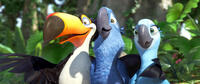 Rafael, Blu and Jewel in "Rio The Movie."