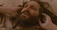 Vincent Gallo in "Essential Killing."