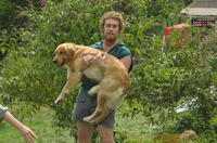 T.J. Miller as Billy in "Our Idiot Brother."