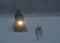 A scene from "Happy People: A Year in the Taiga."