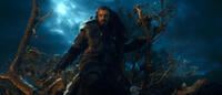 Richard Armitage as Thorin Oakenshield in "The Hobbit: An Unexpected Journey."