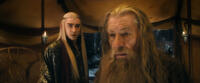Lee Pace as Thranduil and Ian Mckellen as Gandalf in "The Hobbit: The Battle of the Five Armies."