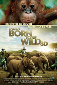 Poster art for "Born to Be Wild."