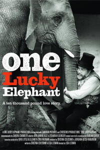 Poster art for "One Lucky Elephant."