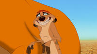 Timon voiced by Nathan Lane in "The Lion King 3D."