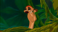 Timon voiced by Nathan Lane in "The Lion King 3D."