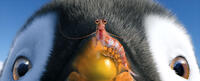 Erik voiced by Ava Acres and Will The Krill voiced by Brad Pitt in "Happy Feet Two."