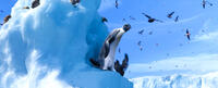 Noah The Elder voiced by Hugo Weaving in "Happy Feet Two."
