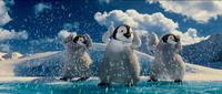 Bo voiced by Meibh Campbell in "Happy Feet Two."