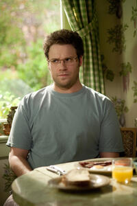 Seth Rogen as Andrew Brewster in "The Guilt Trip."