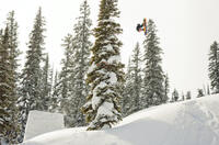Travis Rice in "The Art of Flight."