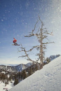 Travis Rice in "The Art of Flight."