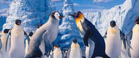 Mumble voiced by Elijah Wood and Gloria voiced by Alecia Moore in "Happy Feet Two."
