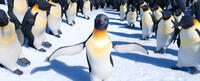 Gloria voiced by Alecia Moore in "Happy Feet Two."
