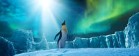 Gloria voiced by Alecia Moore in "Happy Feet Two."