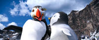 The Mighty Sven voiced by Hank Azaria and Erik voiced by Ava Acres in "Happy Feet Two."