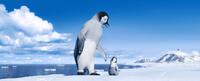 Mumble voiced by Elijah Wood and Erik voiced by Ava Acres in "Happy Feet Two."