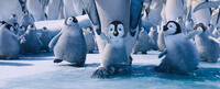 Atticus voiced by Benjamin Flores Jr., Erik, voiced by Ava Acres and Bo voiced by Meibh Campbell in "Happy Feet Two."