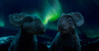 A scene from "Walking With Dinosaurs."
