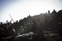 A scene from "The Front Line."