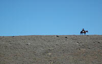 Inge Rademeyer and Cohen Holloway in "Good for Nothing."