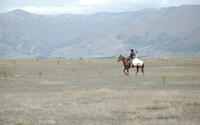 Cohen Holloway and Inge Rademeyer in "Good for Nothing."
