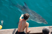 Halle Berry on the set of "Dark Tide."